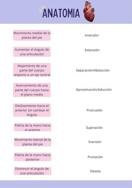 Anatomía, conceptos generales.