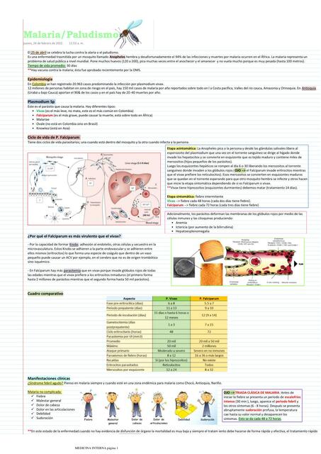 Malaria / Paludismo