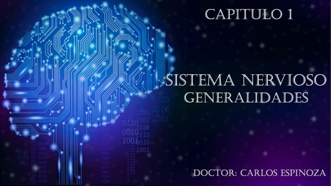 Generalidades neruanatomía