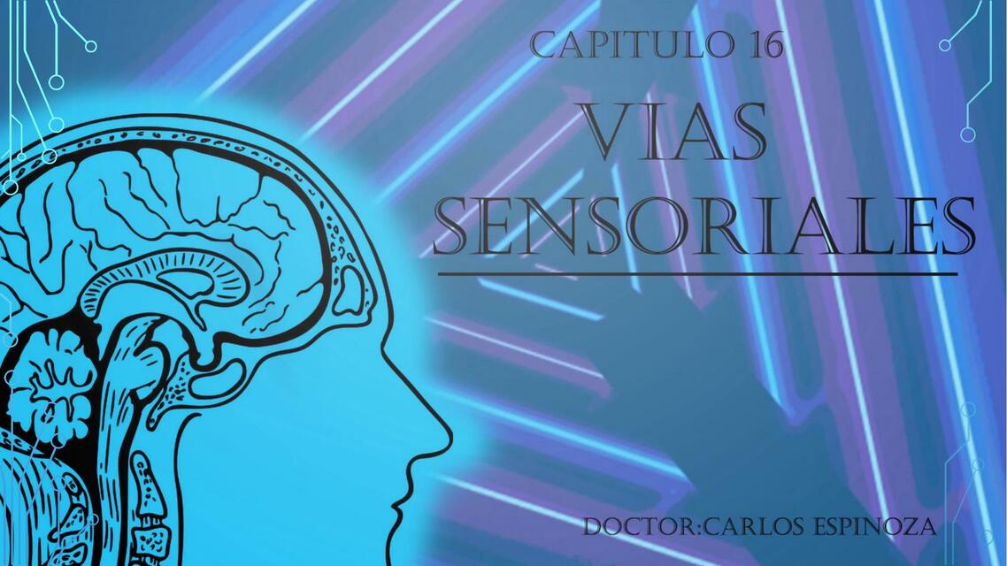 Vías sensoriales 