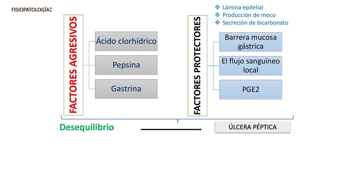 Fisiopatología de úlcera 