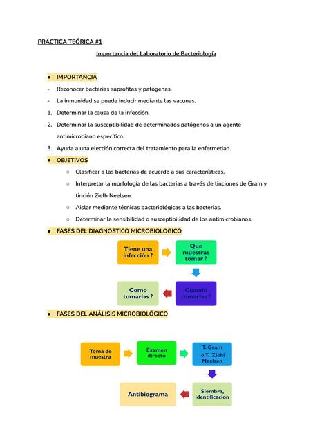 Práctica teórica 1 - Importancia del laboratorio de bacteriología