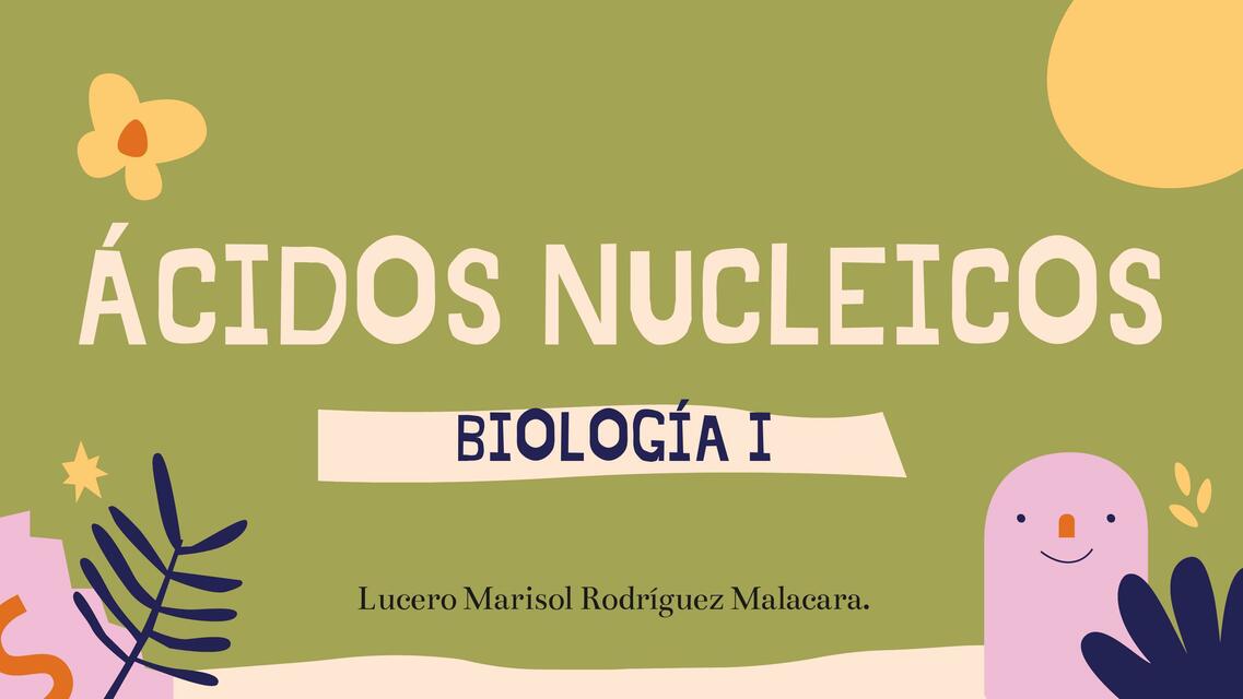 Ácidos Nucleicos 