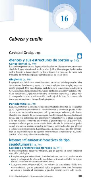 Compendio de Tercer Parcial Anatomía  pdf