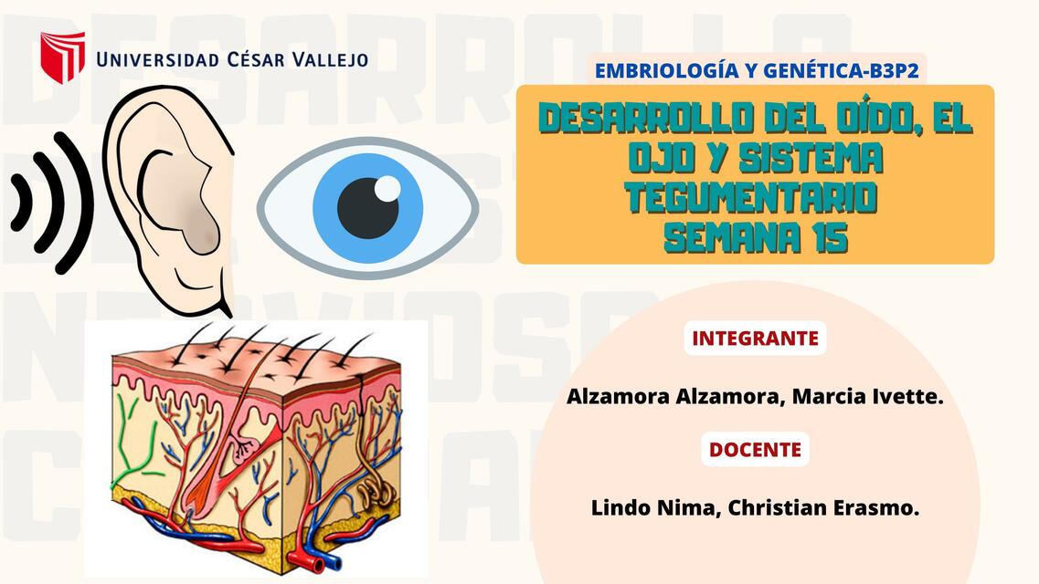 Desarrollo del Oído, El Ojo, y Sistema Tegumentario 