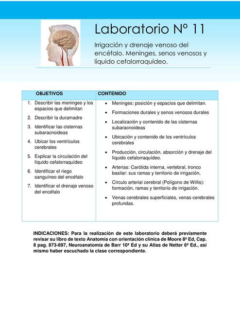  Circulación del Encéfalo Meninges 