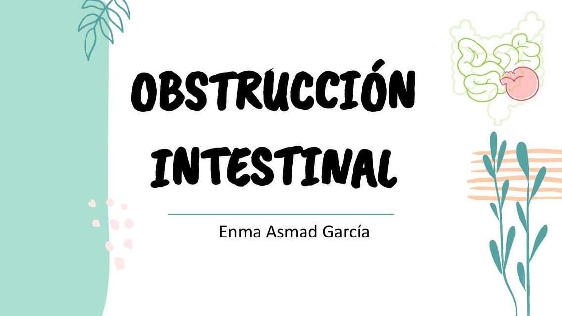 Obstrucción Intestinal