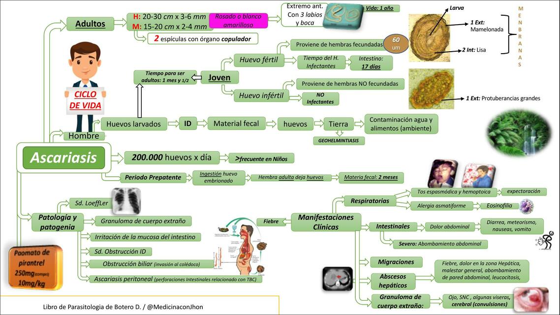 ASCARIASIS - ascaris lumbricoides