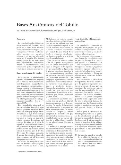 Bases Anatómica del Tobillo