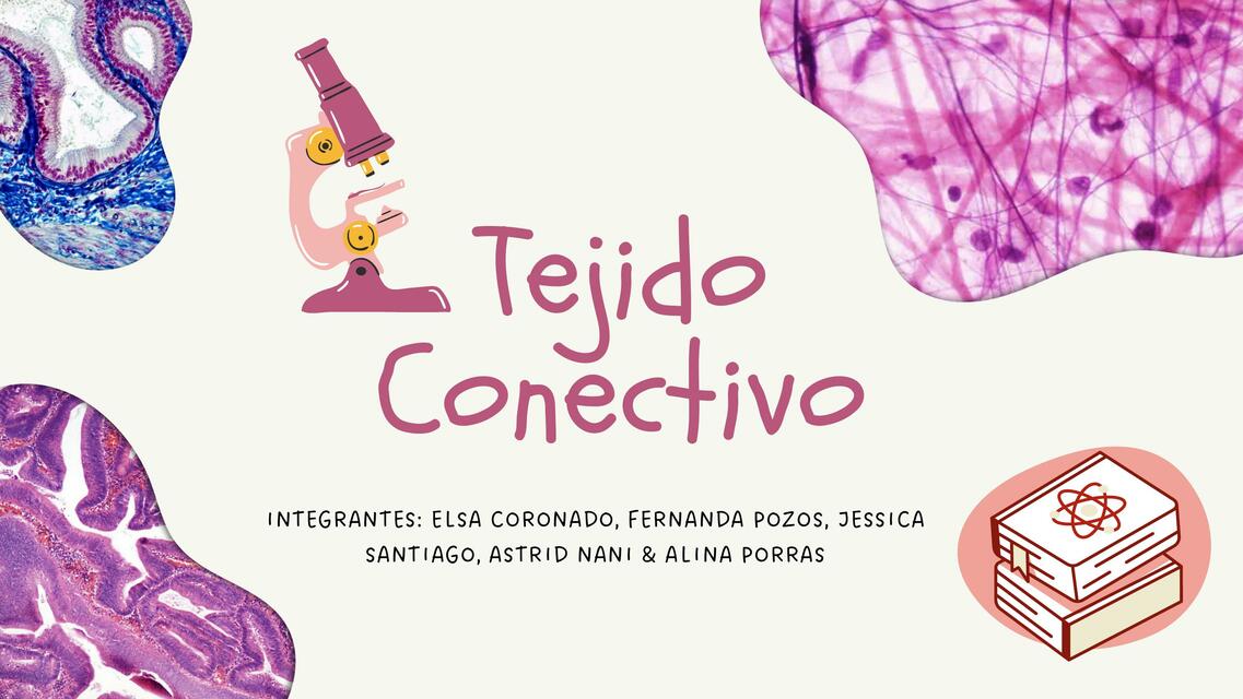 Tejido Conectivo