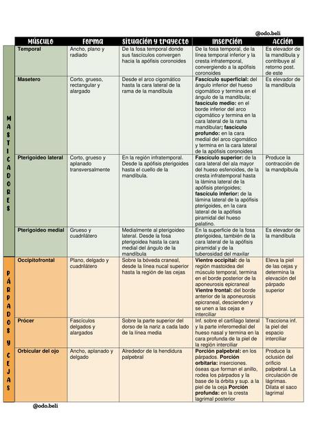 Músculos de la cabeza y cuello - tabla