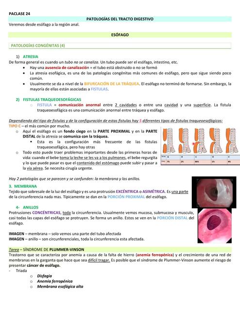 Patología Digestiva