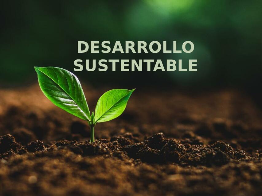 Proyecto desarrollo sustentable