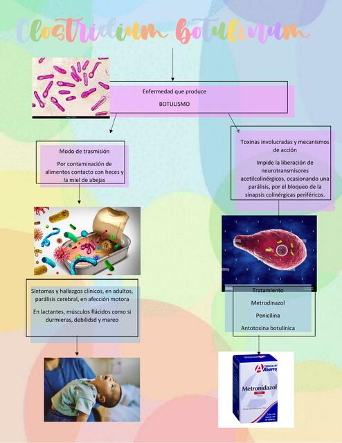 Clostridium botulinum infografia de estudio