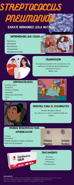 Streptococcus pneumoniae caracteriticas importantes