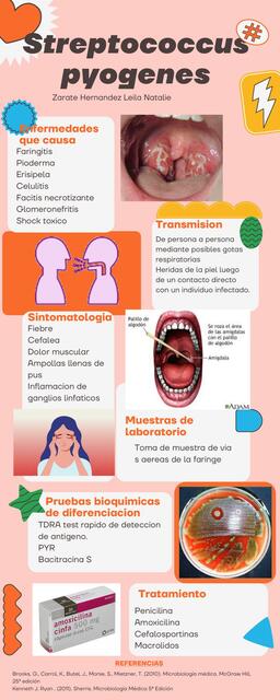 Streptococcus pyogenes infografia de estudio