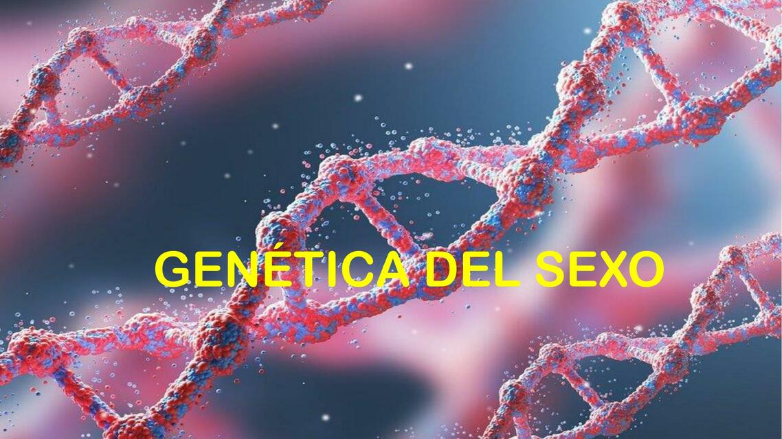 GENÉTICA DEL SEXO