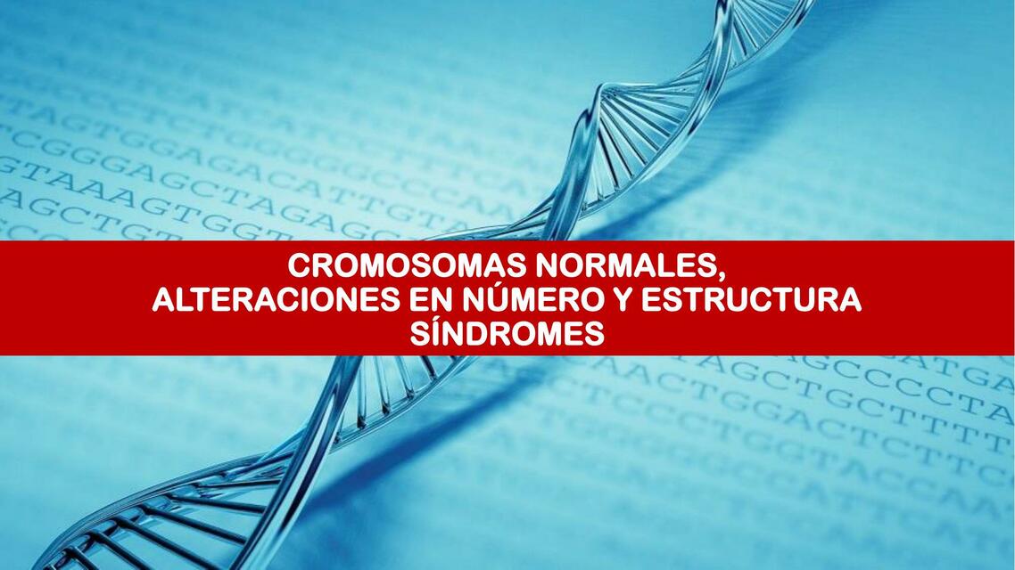 CROMOSOMAS