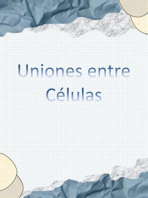 Uniones entre Células