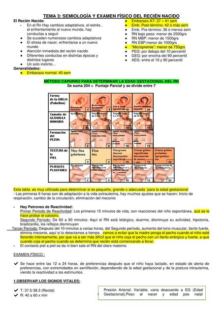 Examen Físico Del Recién Nacido Lapepamédica Udocz 4384