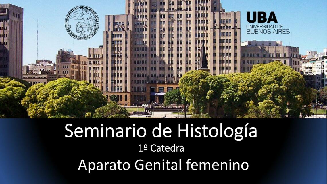 Inbound - Aparato genital femenino