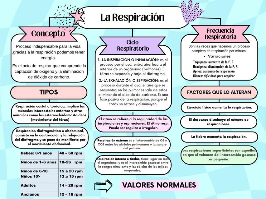 Signos vitales II - La respiración