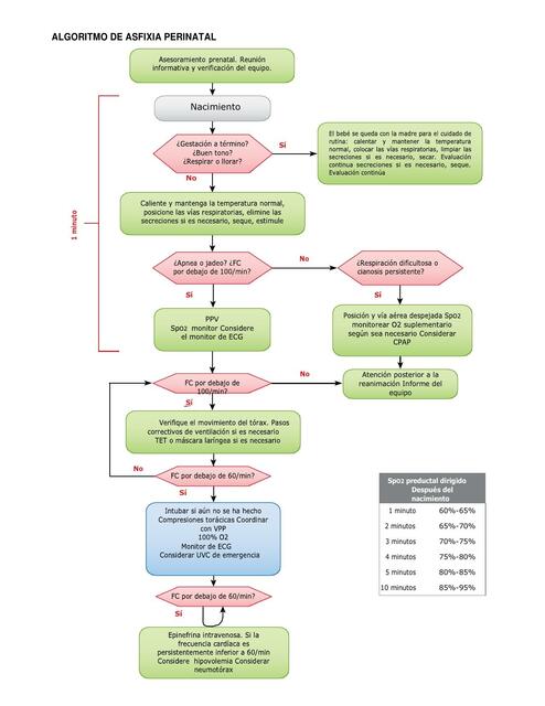 Algoritmo de Asfixia Perinatal