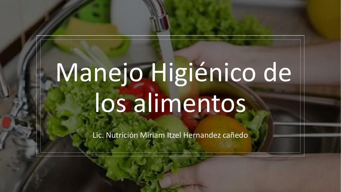 Manejo Higi Nico De Los Alimentos Curso M Riam Hern Ndez Udocz