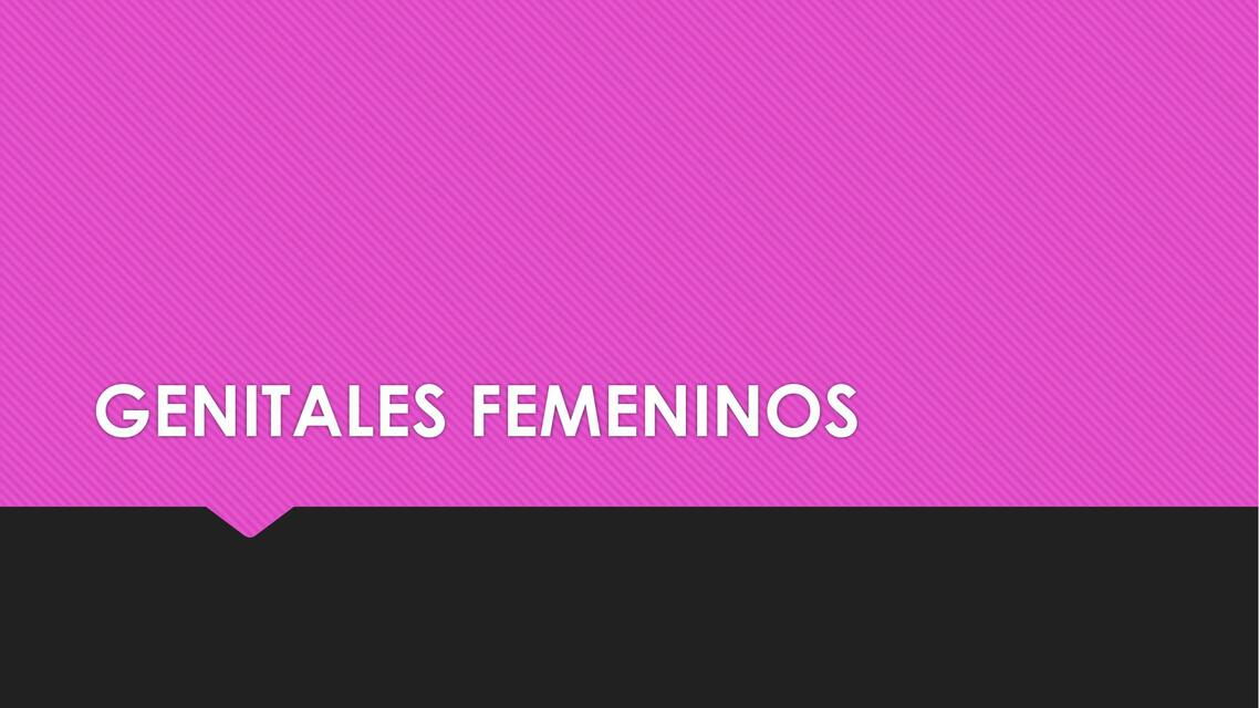 Genitales Femeninos