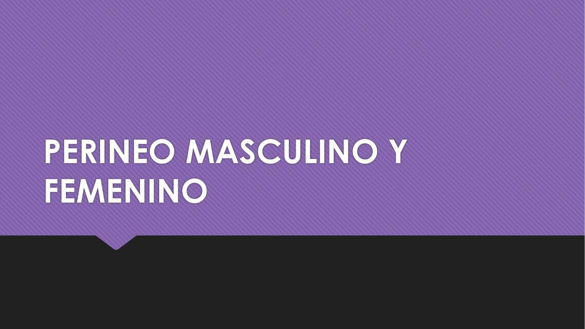 Perineo Masculino y Femenino