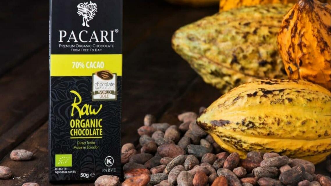 Chocolate Pacari en el Mundo / Internacionalización CINTHYA VITERI uDocz