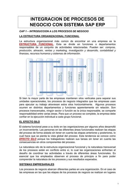 Procesos de Negocio con SAP ERP Cap 1