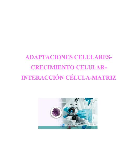 ADAPTACIONES CELULARES-CRECIMIENTO CELULAR-INTERACCIÓN CÉLULA-MATRIX