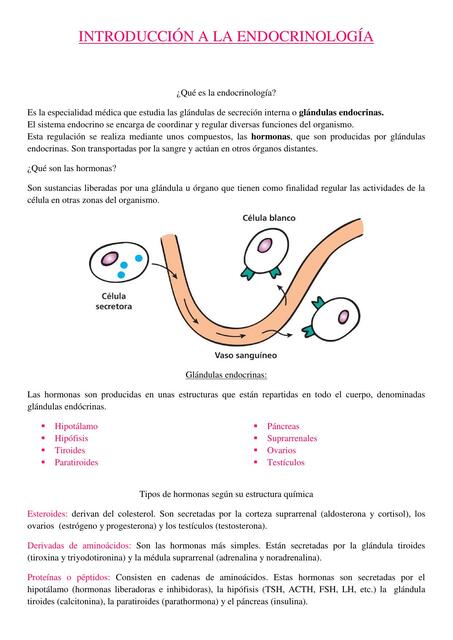 INTRODUCCIÓN A LA ENDOCRINOLOGÍA 