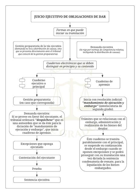 Procedimiento ejecutivo AEG