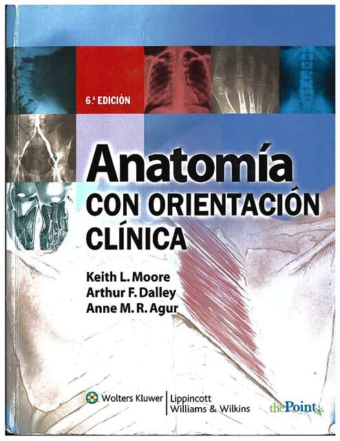 Anatomía