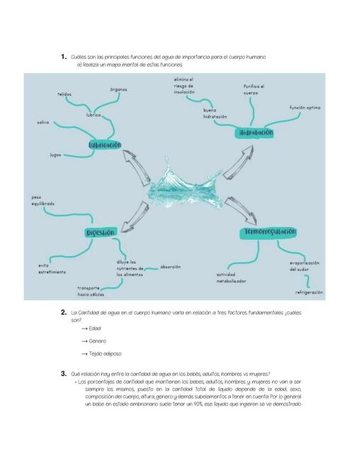 El Agua en el Cuerpo