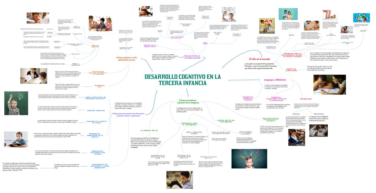 Desarrollo  Cognitivo en la Tercera Infancia 