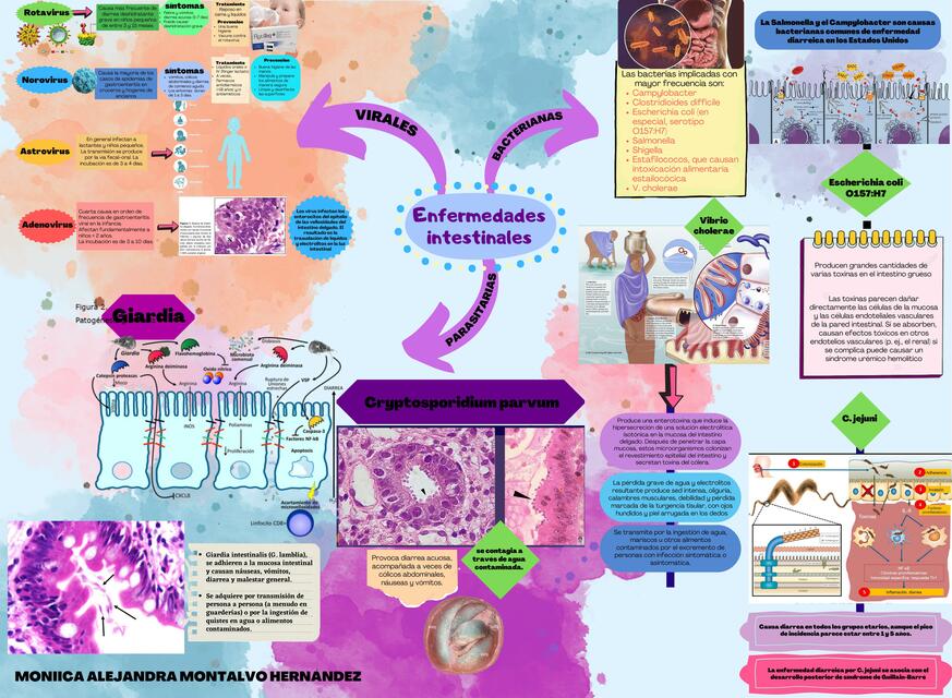 Enfermedades intestinales 1