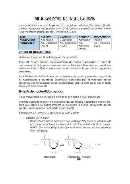 Metabolismo de Nucleótidos  