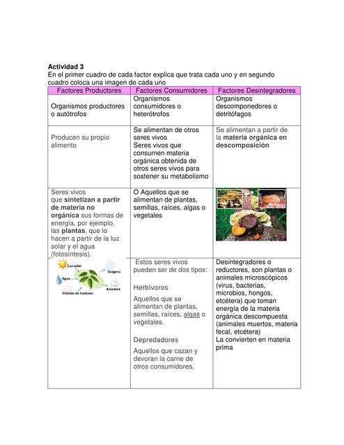 Tabla de conceptos de la cadena alimentaria