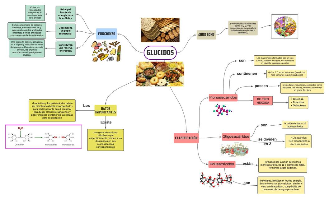 Mapa de Glúcidos