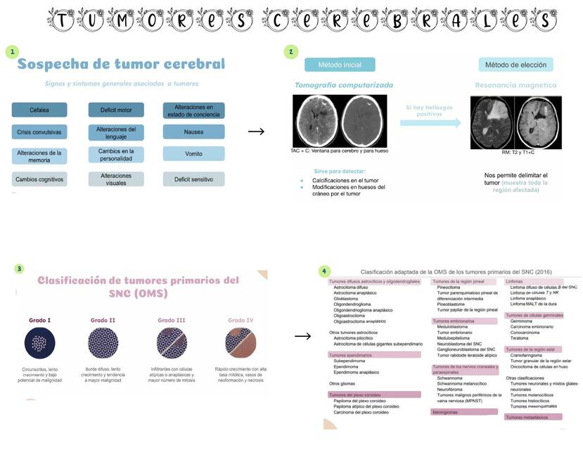 Tumores Cerebrales 