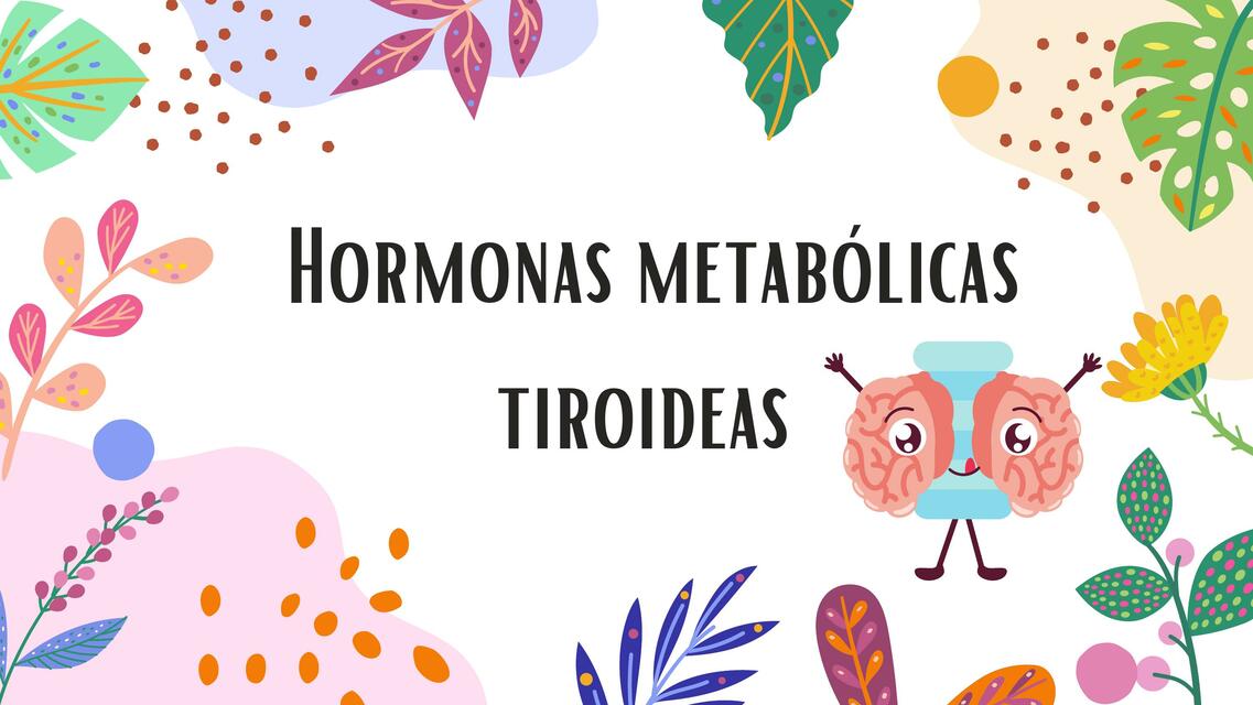 Presentación fisiología - Hormonas metabólicas tiroideas