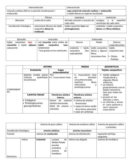 Cuadros Cardiovascular