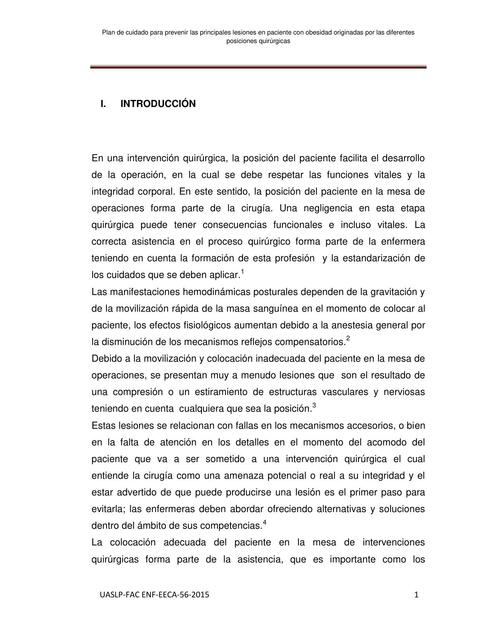 Plan de Cuidado para Prevenir las Principales Lesiones en Paciente con Obesidad 