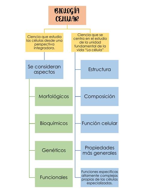 Biología celular