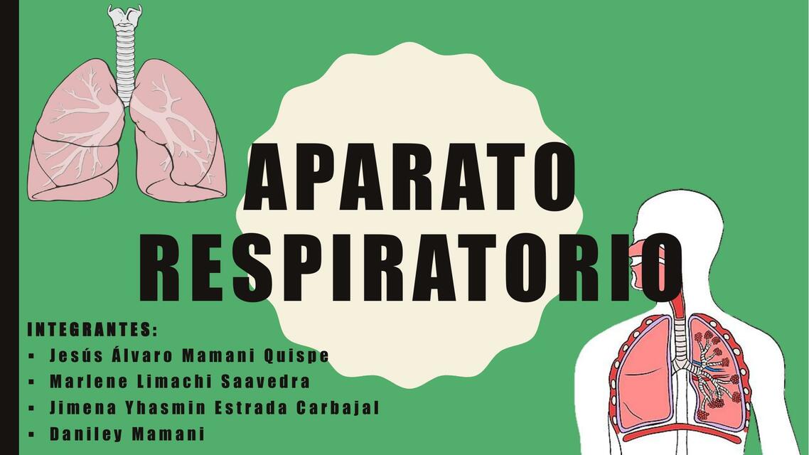 Aparato Respiratorio 