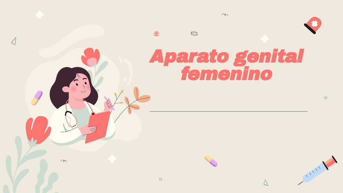 Aparato genital femenino