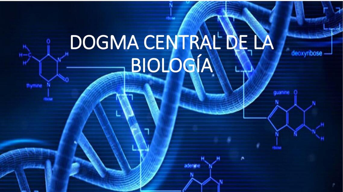 Dogma Central de la Biología (Replicación, Transcripción, Traducción y Cógido Genético) 